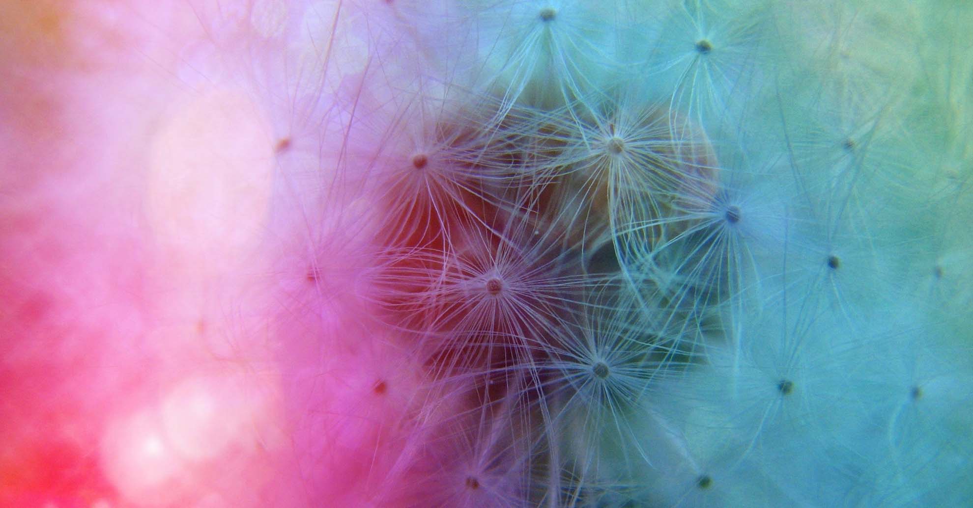 img slider - que hacemos