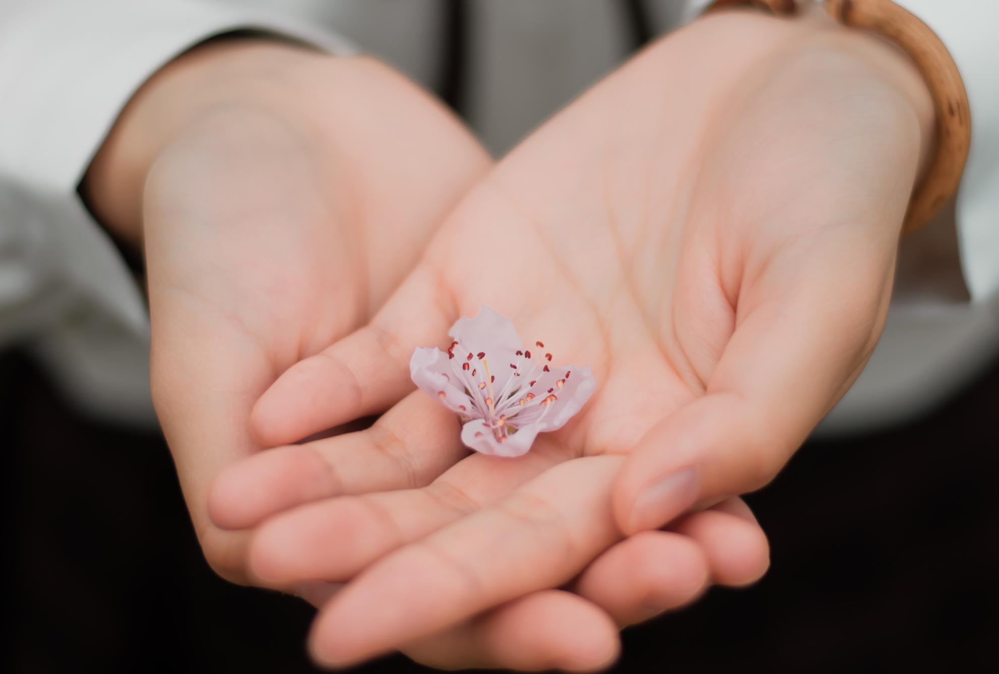 puedes ayudarnos - aprodime paysandú